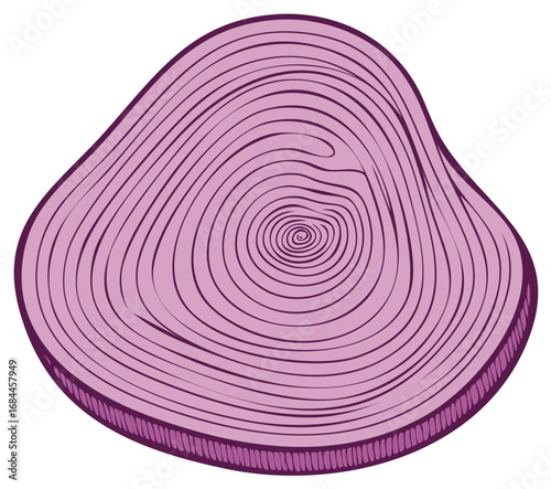 Purple onion illustration with growth rings, isolated on a white backdrop