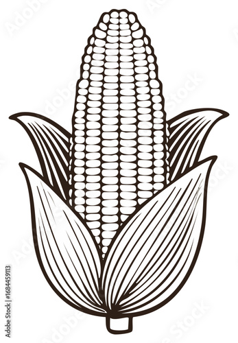 Black and white engraving style illustration of a single corn on the cob with husks
