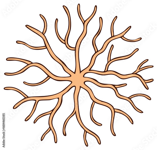 Neuron Network Illustration with Branches Outlining the Connectivity