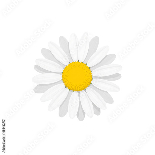 A simple vector illustration of a classic daisy flower, perfect for nature, botanical, and spring-related designs.