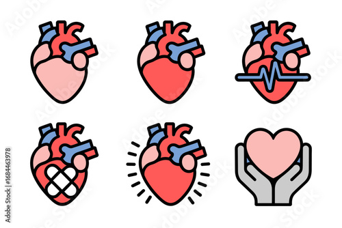 Anatomical human heart vector illustrations, realistic heart organ icons, cardiovascular health graphics, medical body symbols, circulatory system designs