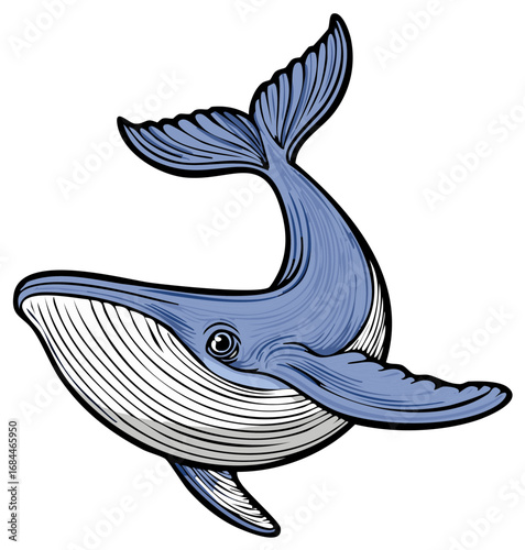 Blue whale swimming gracefully in the ocean with fins and tail extended