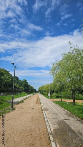 road in the countryside