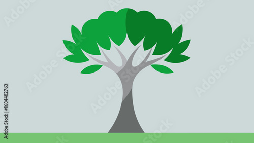 Silver Green Olive Tree Nature Vector Illustration Mediterranean Landscape