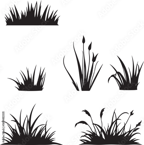 Grass Silhouette Vector