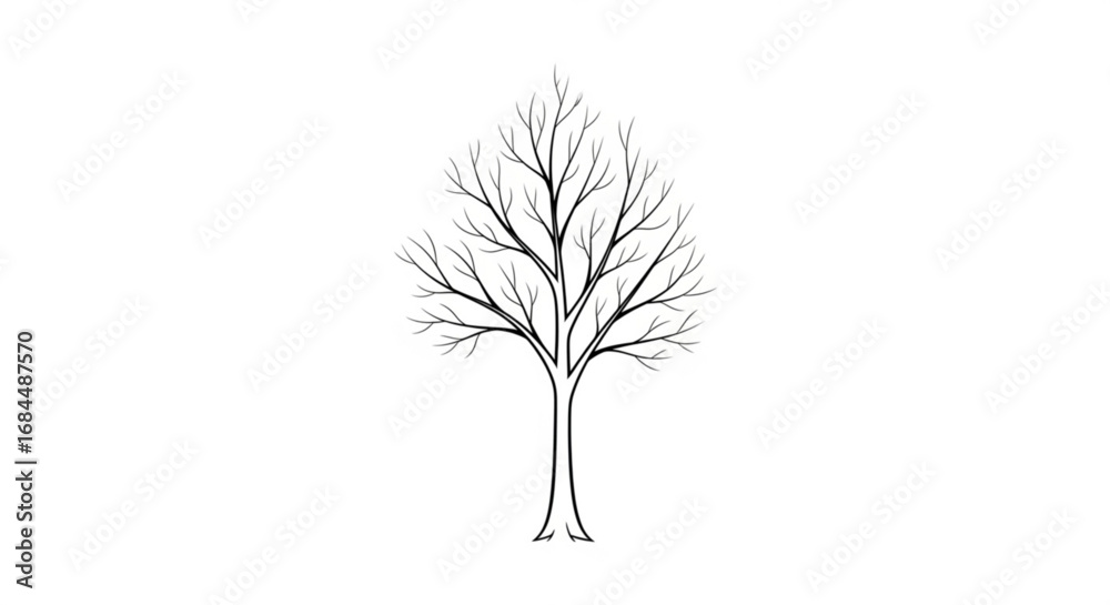 Obraz premium Bare tree drawing vector illustration silhouette isolated on white background nature art design tree without leaves