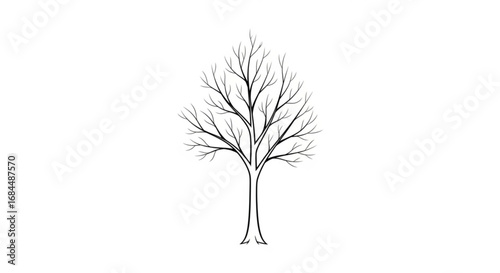 Bare tree drawing vector illustration silhouette isolated on white background nature art design tree without leaves