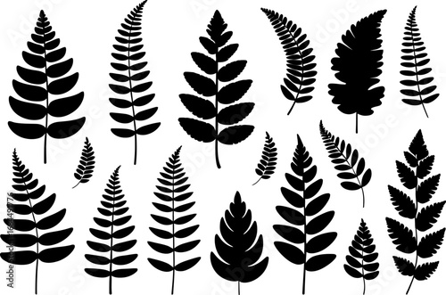 Fern leaf silhouette set, decorative botanical elements, vector foliage collection, varied frond shapes for pattern design and natural backgrounds