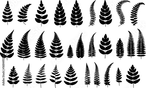 Mini fern icon assortment, tiny leaf vectors, decorative frond elements, scalable botanical graphics for logos patterns stickers, nature themed projects