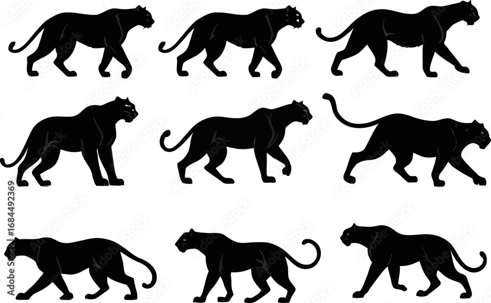 Obraz premium Tiger walking pose set, big cat silhouette illustrations, predator animal vector frames, motion study poses for wildlife and nature projects
