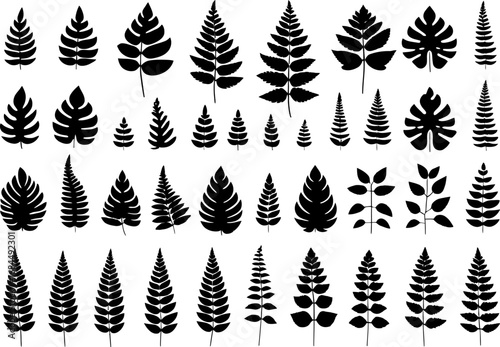 Decorative leaf silhouette set, assorted foliage icons, varied botanical shapes for craft print and web, scalable vector elements bundle