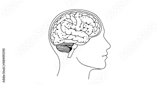 Vector Minimalist Line Art SVG Illustration of Human Brain and Head Profile in Modern Flat Style with Monochrome Palette