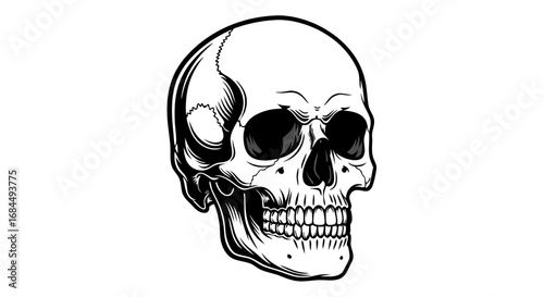 Black and White Vector SVG Illustration of Skull with Gothic Style Details in Minimalist Design