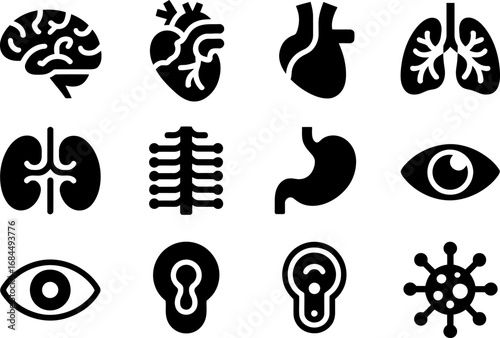 Anatomy glyph icon collection, internal organs and sensory symbols, brain heart lungs kidney eye ear spine elements, medical vector set