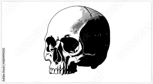 Vector Minimalist Line Art SVG Illustration of Human Skull in Black and White Geometric Style for Digital Art and Medical Design