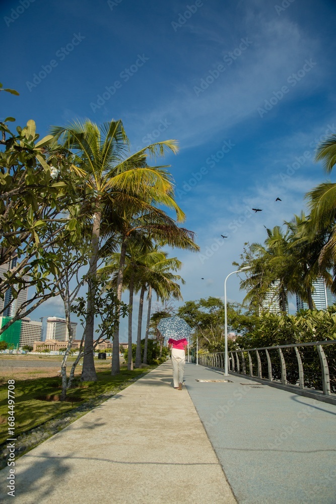 Fototapeta premium palm trees on the street