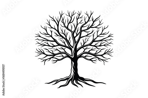Detailed black ink silhouette of a bare deciduous tree with intricate branches and visible roots isolated on white background