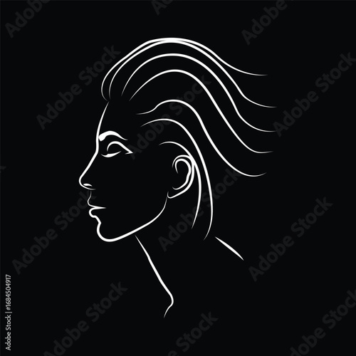 silhouette of long haired girl