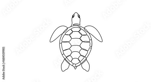 Monoline illustration of a sea turtle creating a sleek aesthetic appeal design
