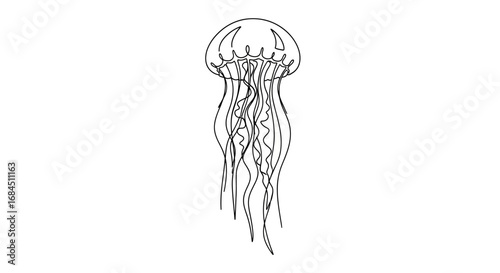 Elegant minimalist jellyfish illustration in a single continuous line drawing style