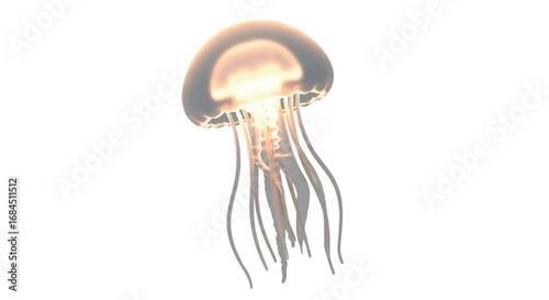 Glowing Jellyfish on White Background.