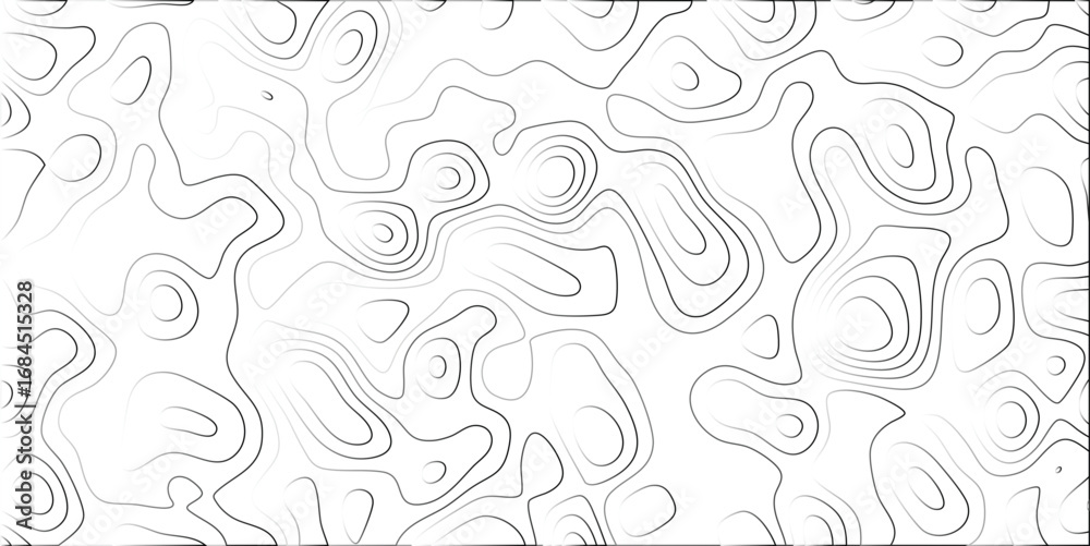 Fototapeta premium White Background With Black And Gray Contour Lines Abstract Topographic Map Pattern Organic Flowing Shapes And Circular Elements