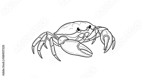 Detailed crab illustration in black and white, perfect for coloring pages and other creative