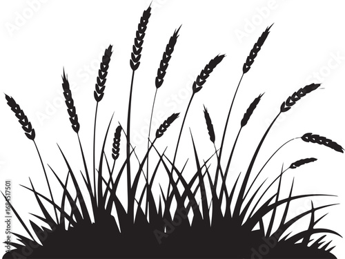 Grassy Wheat Silhouette Vector: A black and white illustration of a lush patch of grass and wheat ears, perfect for farm and harvest themed designs.