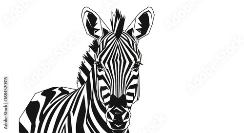 Striking zebra illustration with bold black and white contrast geometric style design minimal
