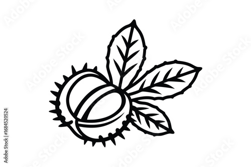 Autumnal Chestnut and Leaf on White Background Seasonal Design