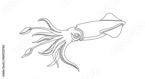 Elegant squid artwork displays minimalist lines against a stark white backdrop perfect for