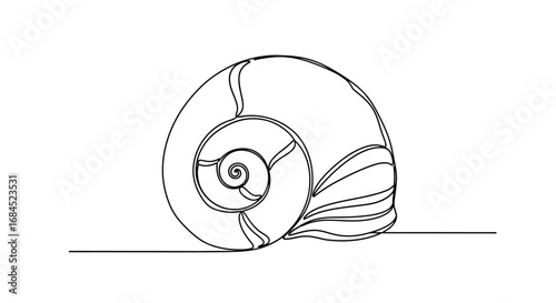 Elegant spiral of a seashell in a continuous line drawing for marine life art