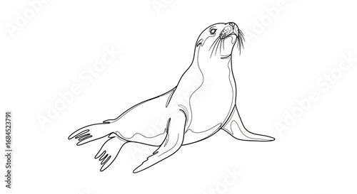 Elegant sea lion outline illustration showcasing unique marine wildlife drawing skill