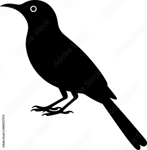 Cuadro en lienzo mockingbird silhouette vector illustration