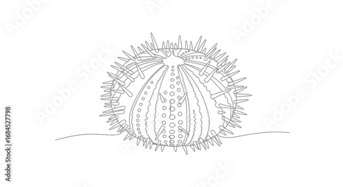 Minimalist sea urchin drawing expressing simplicity and beauty of marine life