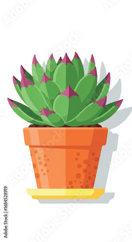 Succulent Plant in Terracotta Pot with Shadow.