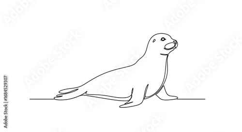 Elegant single line drawing of a seal, conveying simplicity and minimalist design