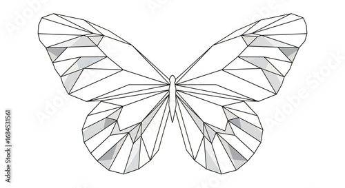 Geometric Butterfly Illustration with Angular Design and Delicate Wing Structure