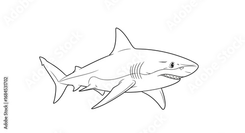 Intricate line drawing capturing the majestic presence of a great white shark swimming dynamically