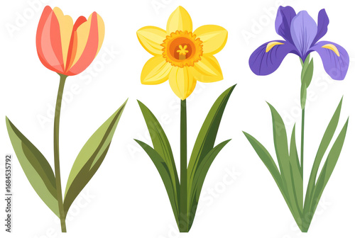 Wallpaper Mural PNG Colorful spring flowers illustration, element set on transparent background Torontodigital.ca