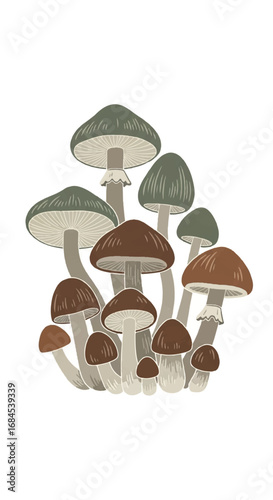 A cluster of various mushrooms with different cap colors and sizes growing together in a natural setting.