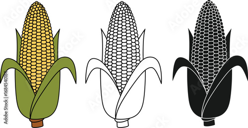 Corn cob vector illustration agriculture harvest maize food plant
