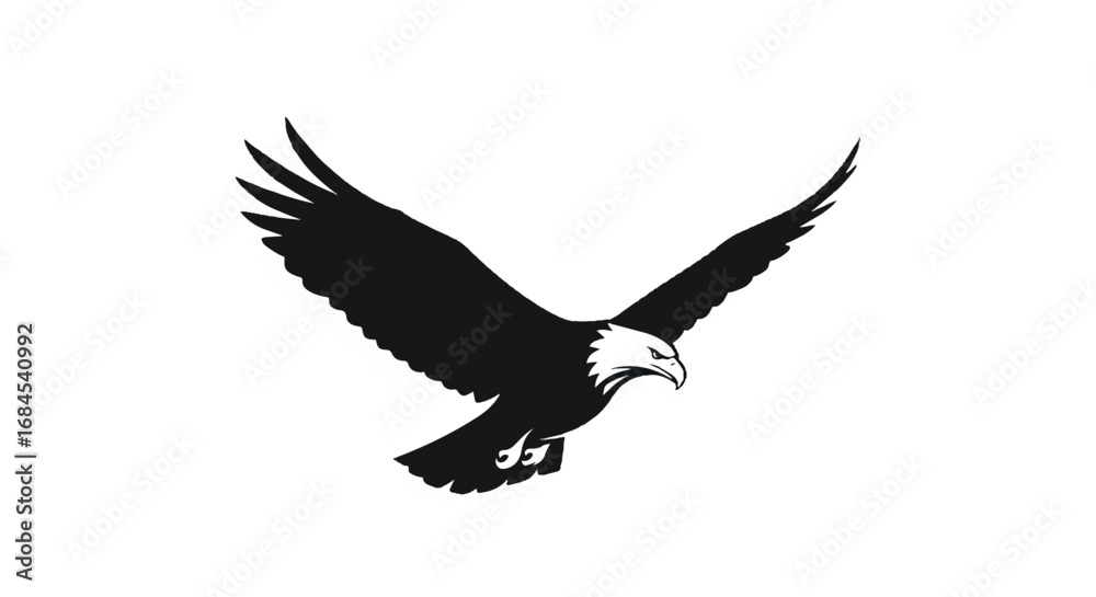 Obraz premium Bald Eagle Flying with Spread Wings.