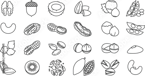Nuts and seeds vector line art illustration healthy food icons