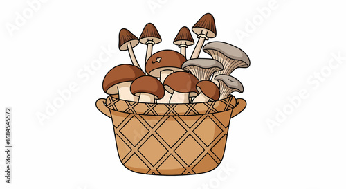 Basket full of mushrooms. Brown cap mushrooms in wicker basket illustration