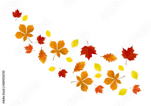Falling autumn colorful leaves isolated on white background. Vector cartoon flat illustration.
