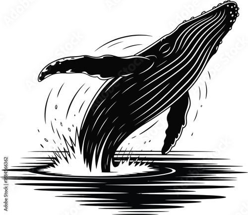 Majestic leaping whale ocean water splash silhouette