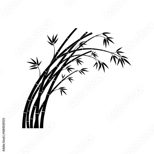 Elegant silhouette of a lush bamboo plant showcasing its tall stalks and leafy fronds isolated on white background