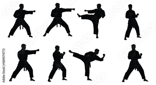 martial arts silhouettes showing various fighting stances and techniques