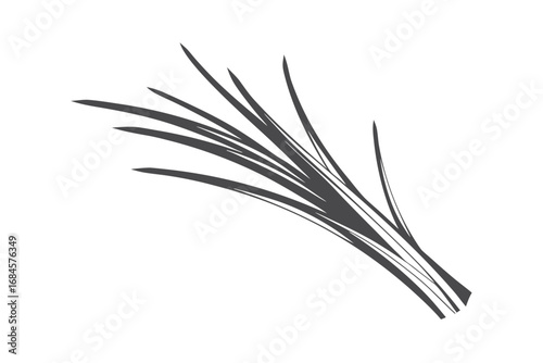 Minimalist Gray Lemongrass on White Background Art